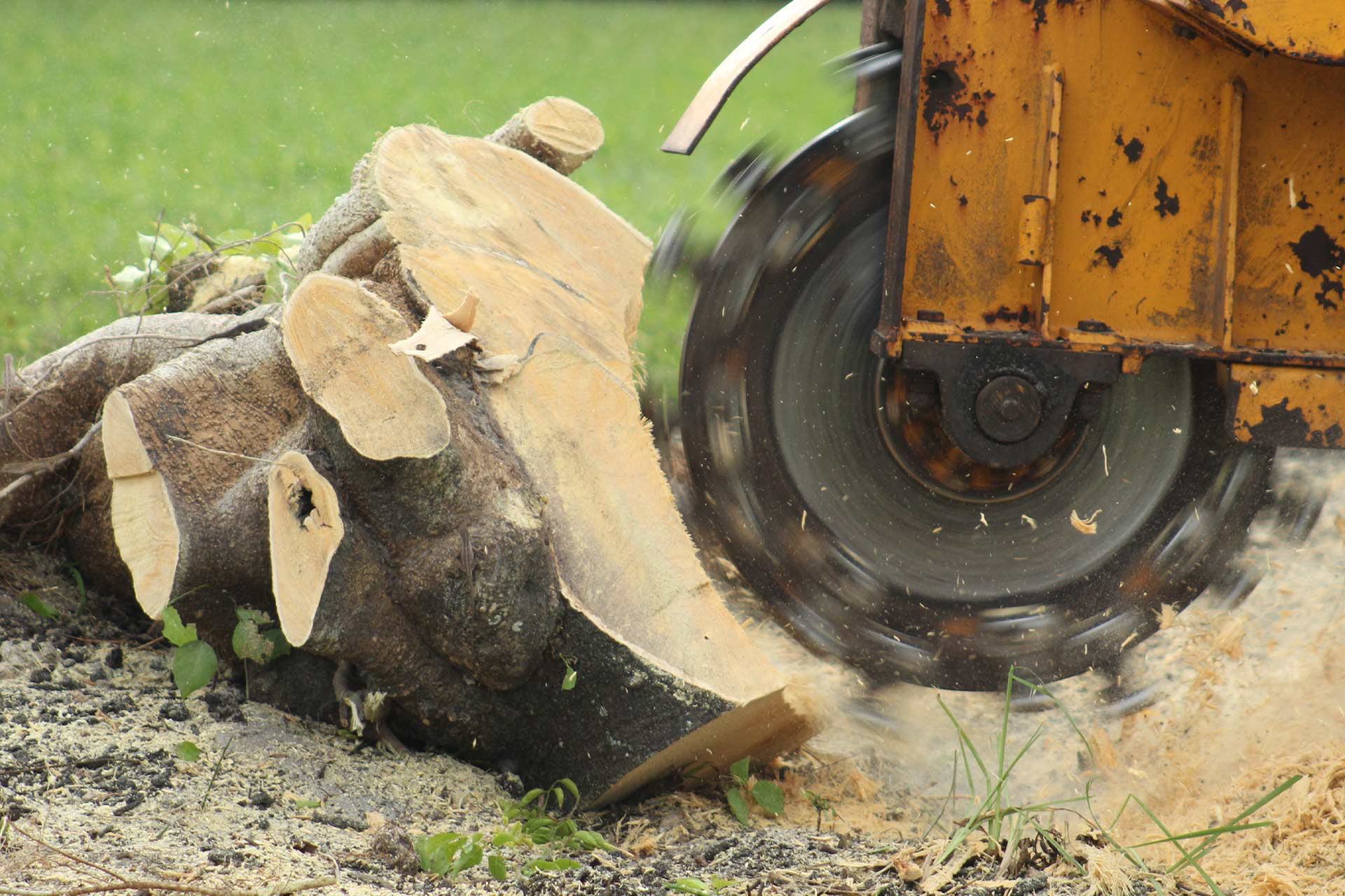 Stump Grinding Sydney