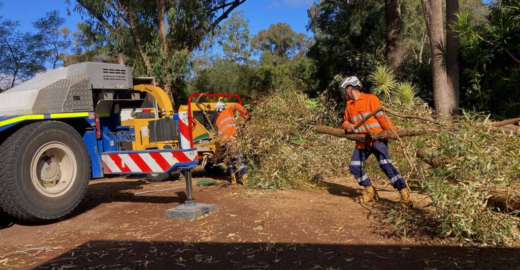 Stump Grinding Sydney