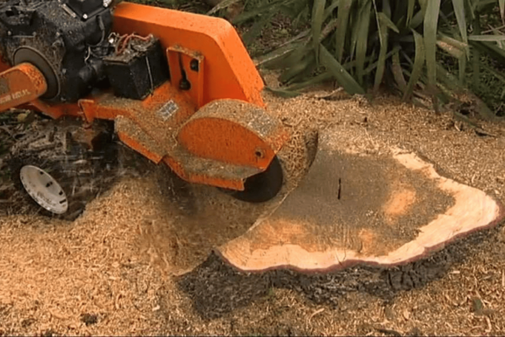 Stump Grinding Sydney