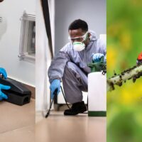 Pest Control in Sydney: A Landlord’s Guide to Compliance and Prevention