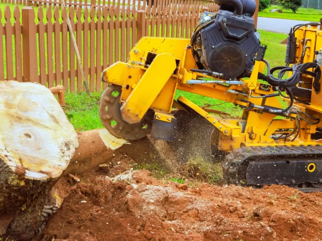 Stump Removals