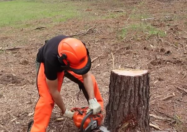 Stump Removals